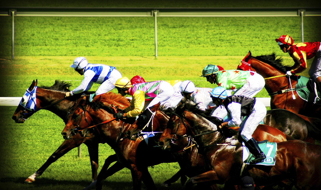 horse_race_photo_nyreblog_com_.JPG
