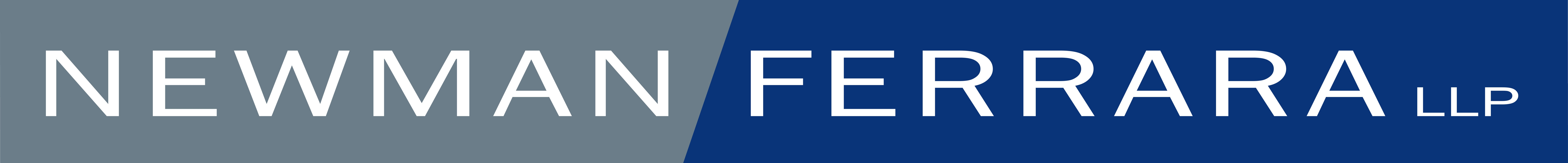 NF Logo - High Resolution.JPG