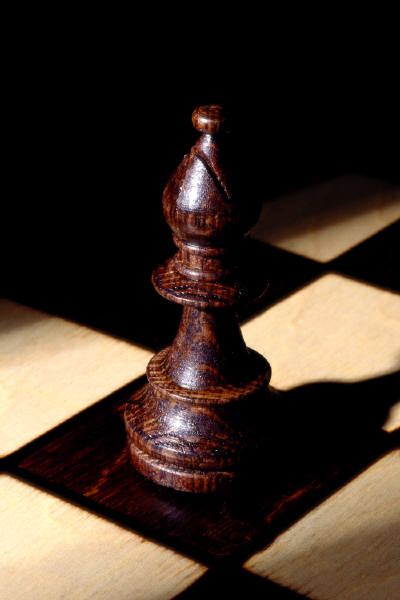 bishop_chess_piece_photo_nyreblog_com_.JPG