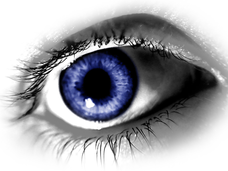 blue_eye_photo_nyreblog_com_.JPG