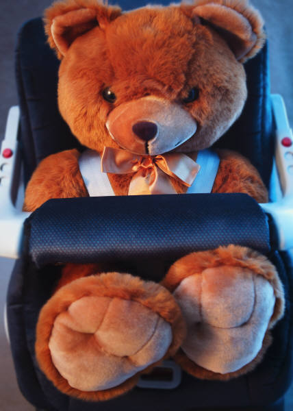 car_seat_teddy_photo_nyreblog_com_.JPG