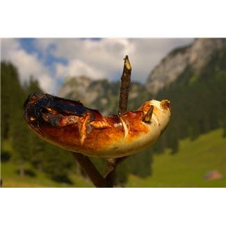 cooked_meat_bratwurst_bbq_photo_nyreblog_com_.JPG