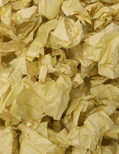 crumpled_paper_photo_nyreblog_com_.JPG