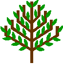 fall_trees_gif_nyreblog_com_.GIF