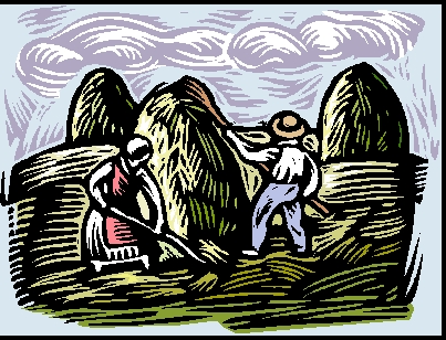 farmers_hay_cartoon_nyreblog_com_.JPG