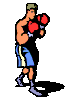 fighter_gif_nyreblog_com_.GIF