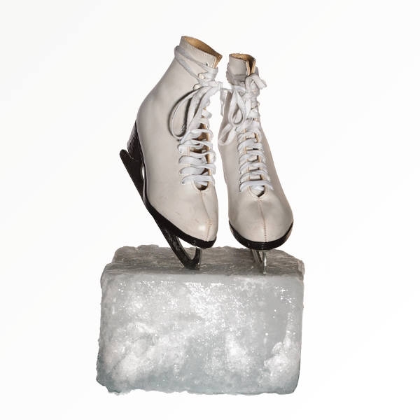figure_skating_photo_nyreblog_com_.JPG
