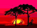 giraffes_savannah_gif_nyreblog_com_.GIF