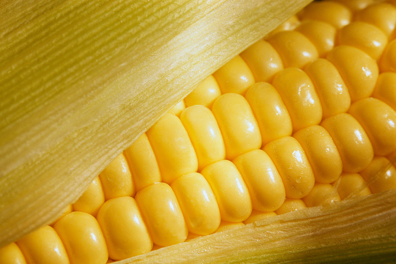kernels_corn_photo_nyreblog_com_.JPG