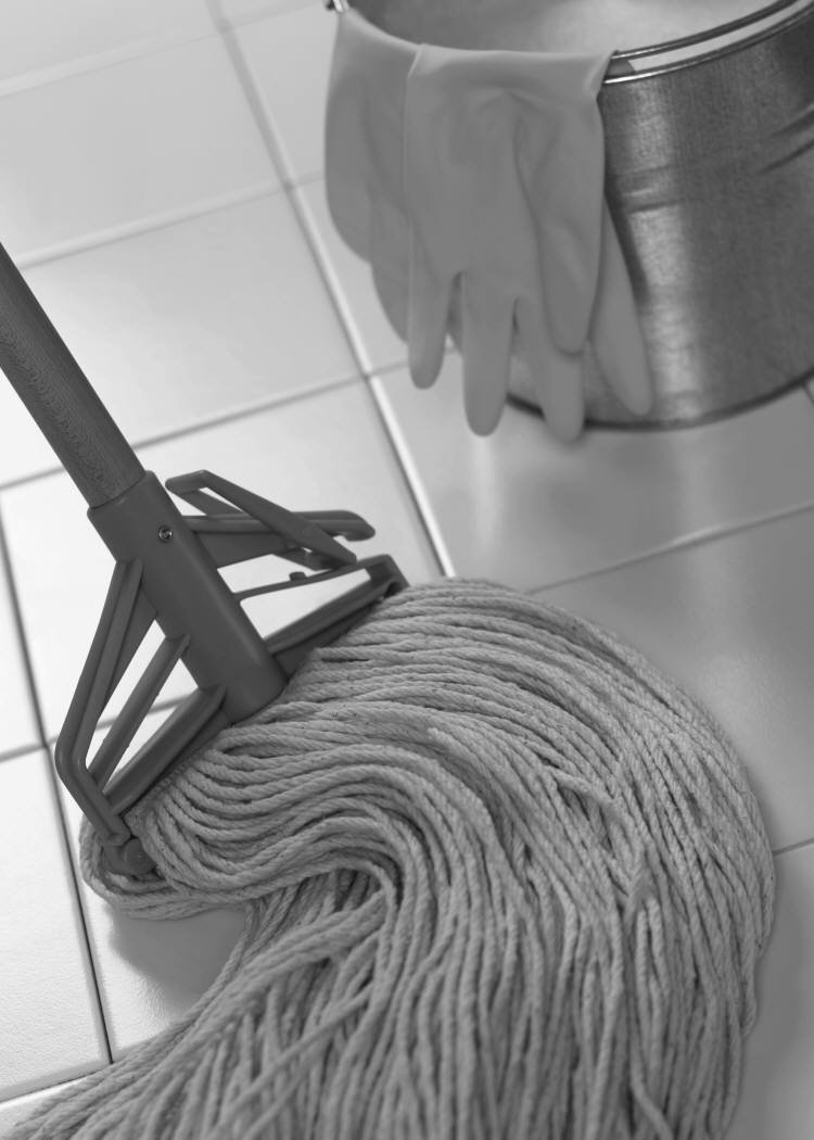 mop_photo_nyreblog_com_.JPG