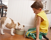 Boy feeding dog