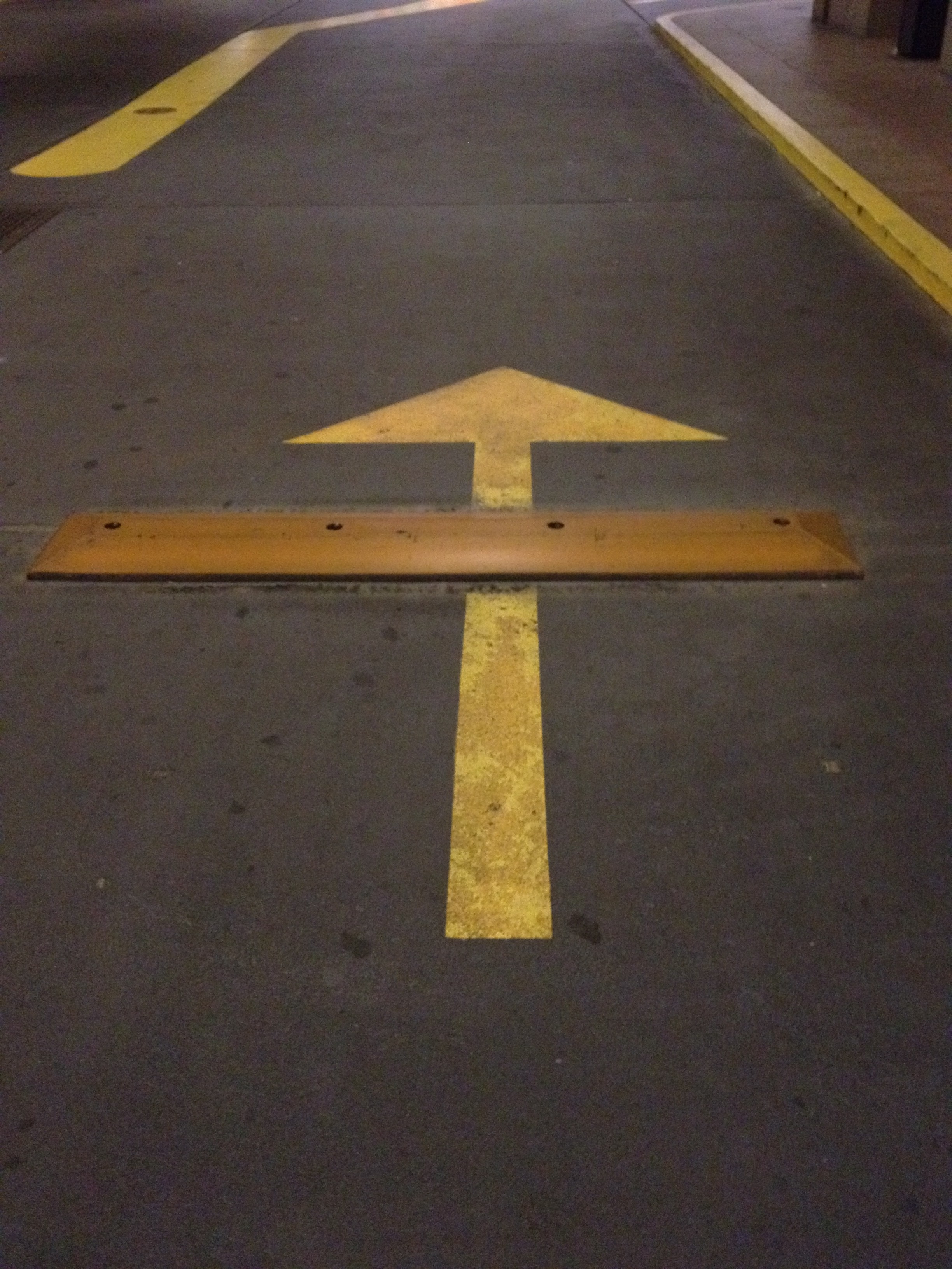 speed_bump_photo_nyreblog_com_.JPG