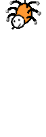 spider_gif_nyreblog_com_.GIF
