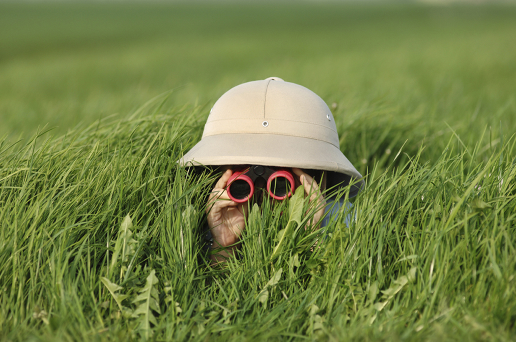 spying_grass_binoculars_photo_nyreblog_com_.JPG