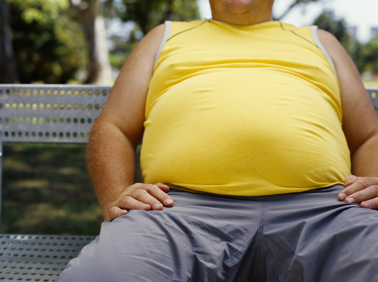 stomach_obesity_photo_nyreblog_com_.JPG