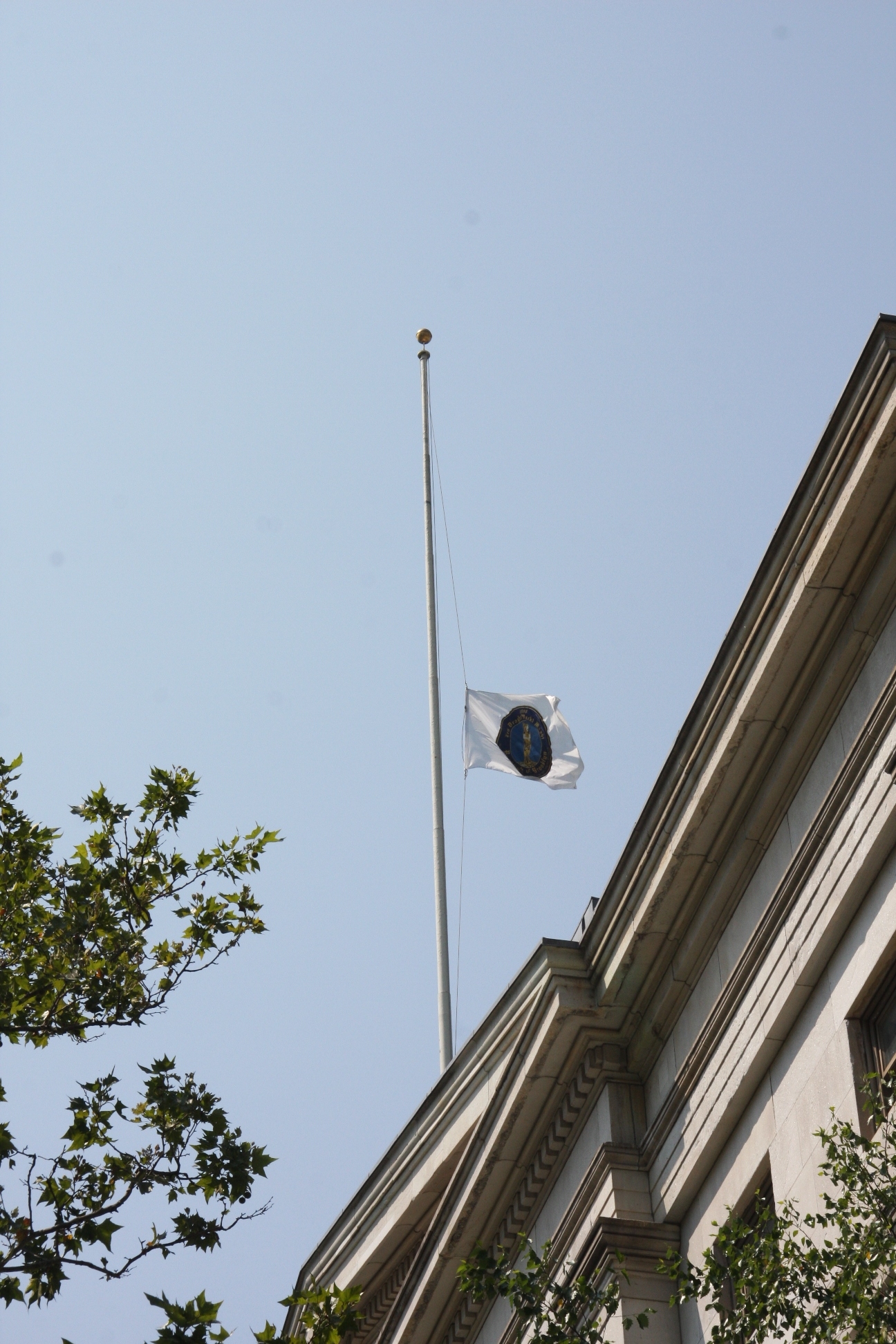 thompson_jabari_borough_hall_flag_nyreblog_com_.JPG