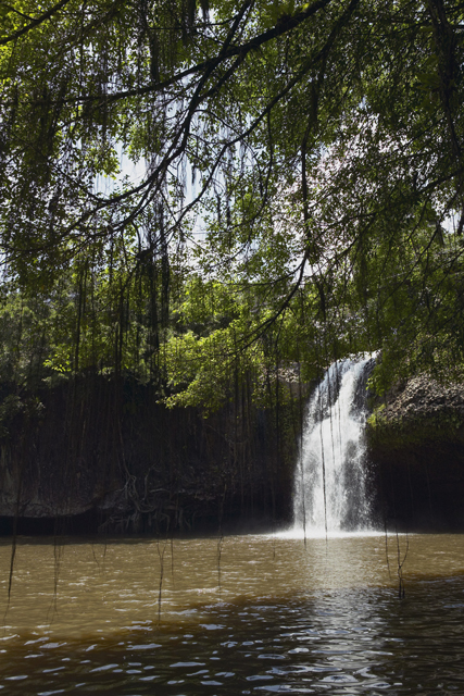 waterfall_photo_nyreblog_com_.JPG