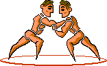 wrestling_gif_nyreblog_com_.GIF